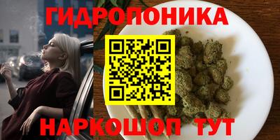 эйфоретик Жуковский