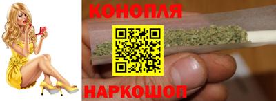индика Заводоуковск
