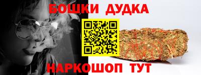 индика Заводоуковск