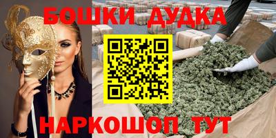 индика Заводоуковск